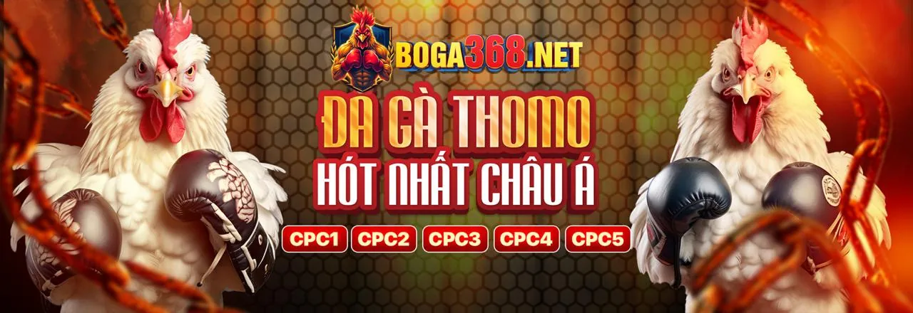 Đá gà trực tuyến 8kbe